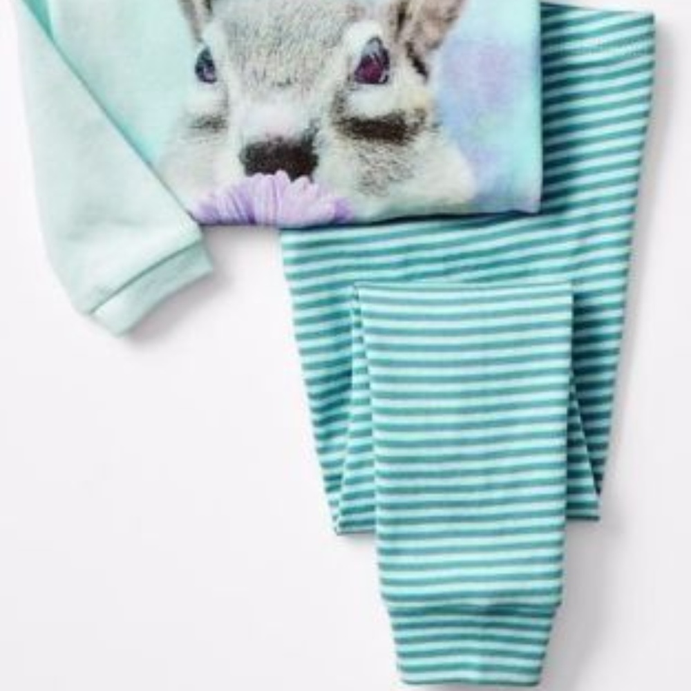 NWT Baby Gap pajamas SQUIRREL flower striped 2pc - Picture 2 of 2